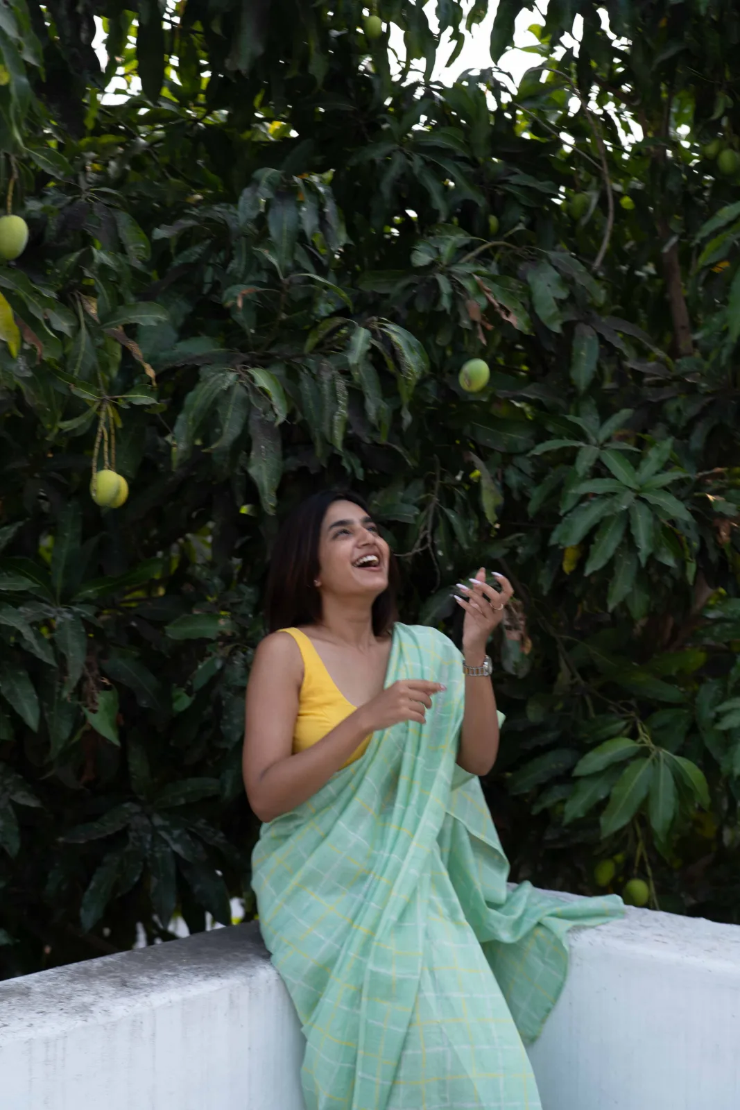 Aamra by Alai (Studio Thari) Pale mint chanderi saree with a yellow windowpane check