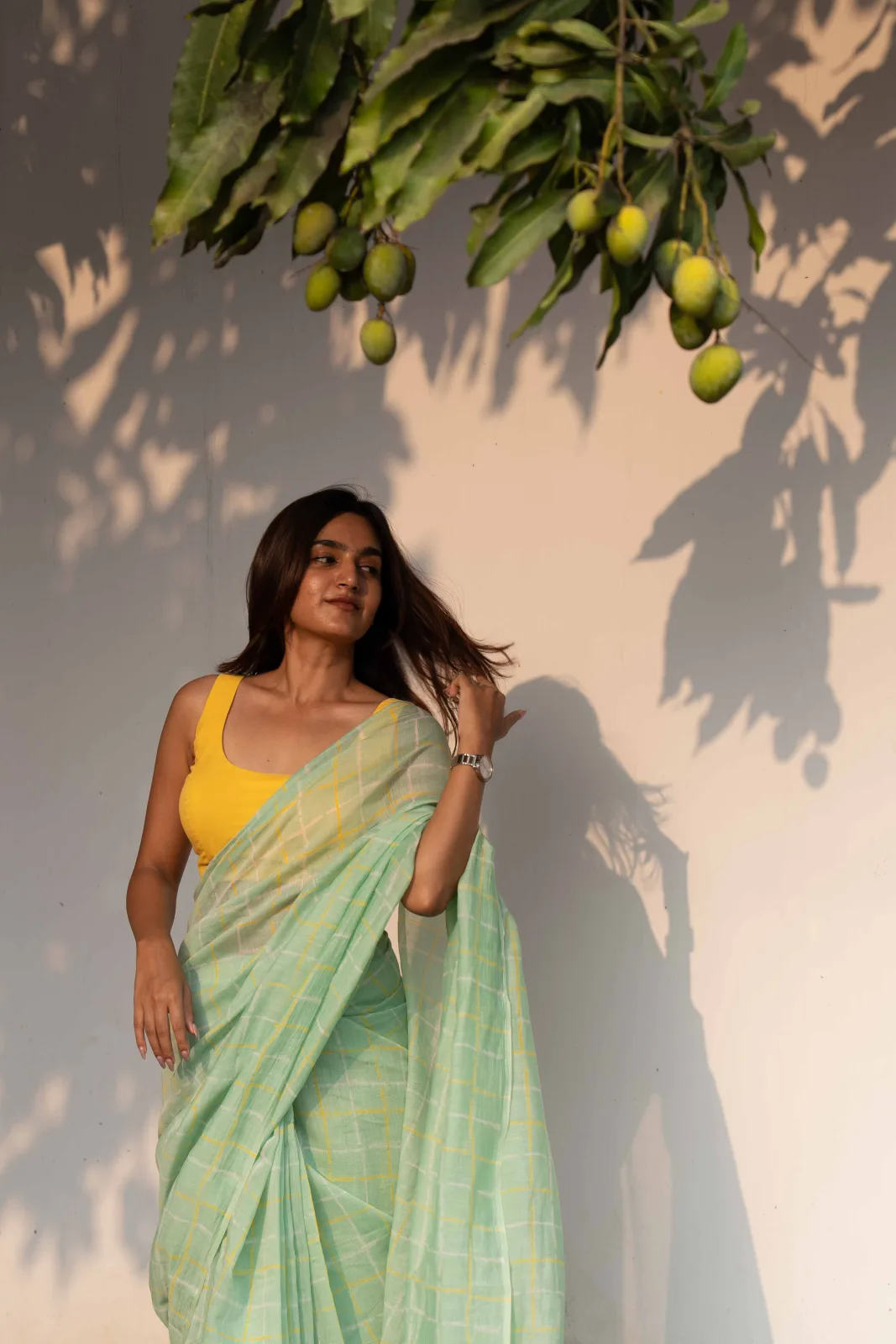 Aamra by Alai (Studio Thari) Pale mint chanderi saree with a yellow windowpane check