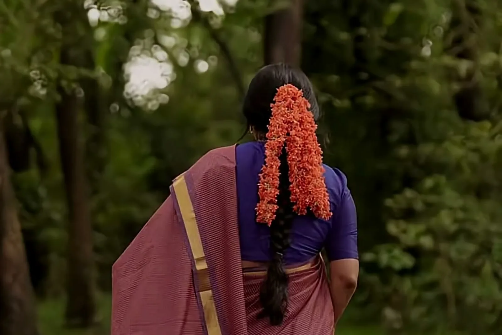 Meera Jasmine — From the back: the braid and the pallu over the left shoulder