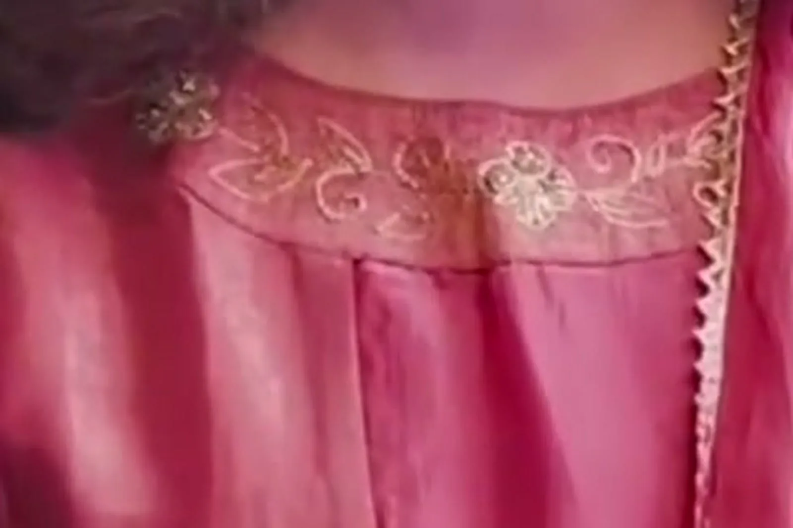 Meena — Close: scrolls, leaves and five-petal flowers in the neck band
